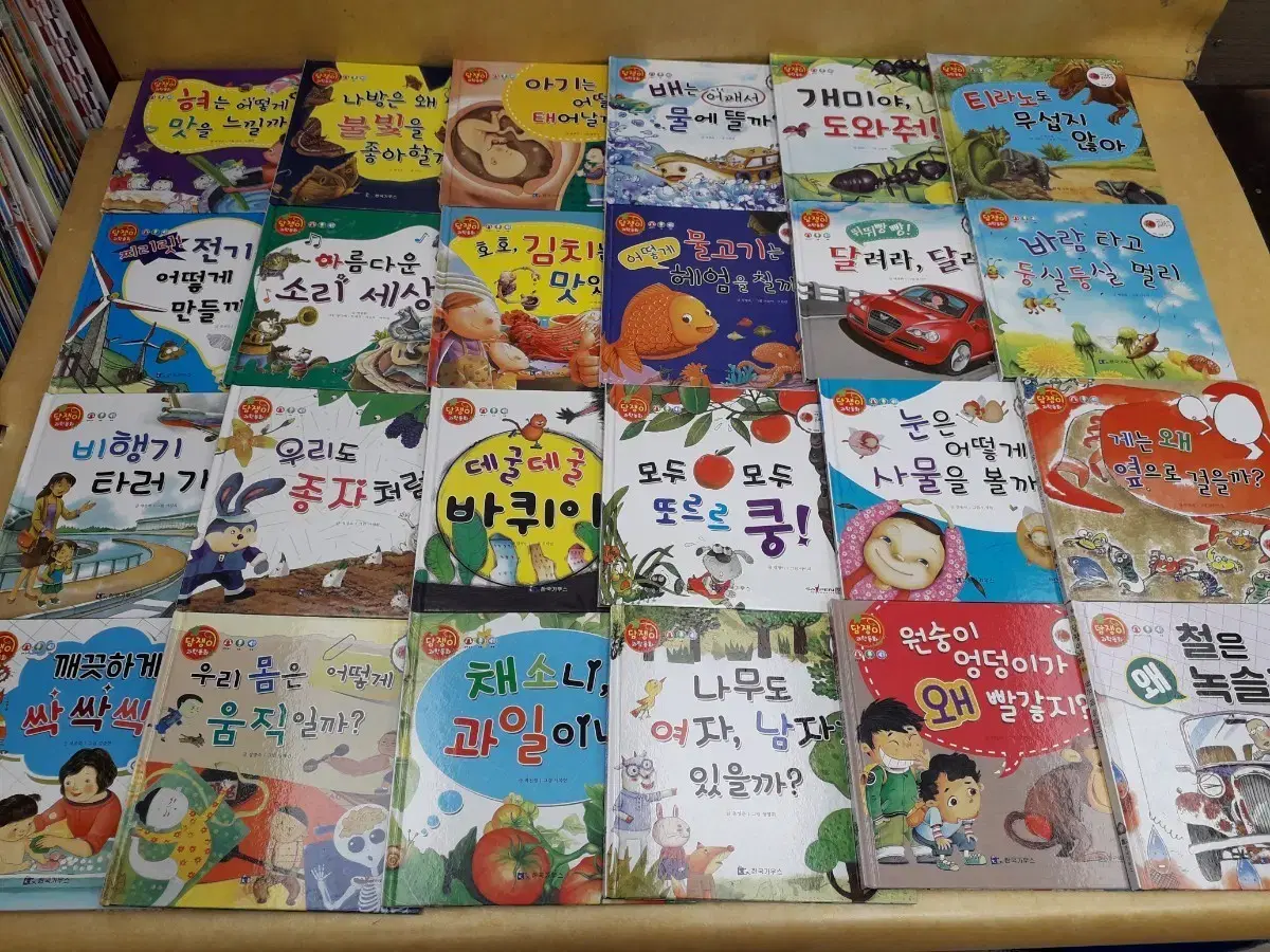 웅진다책 마술피리 그림책 꼬마 (합지본) | 브랜드 중고거래 플랫폼